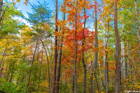 Georgia Fall Colors | North Georgia mountains | Steve Shames Photo Gallery