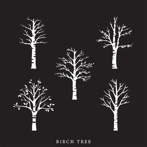 Premium Vector | Birch tree vector artwork