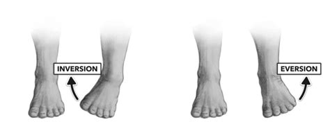 Foot Inversion Range Of Motion