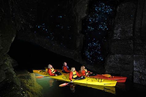 Waitomo Glowworm Caves in New Zealand | Kayaking, Kayak tours, New ...