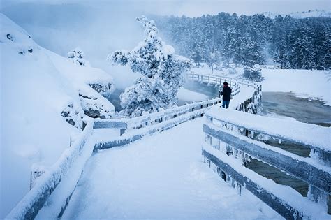 Travel Guide to Yellowstone’s Mammoth Springs in winter » Travel Photography Blog