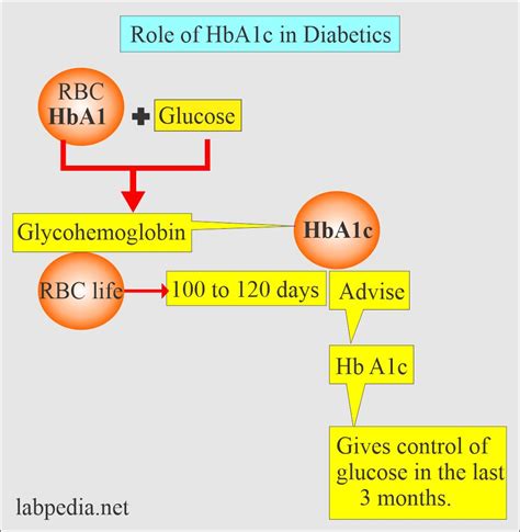 HbA1c (Glycosylated Hemoglobin)