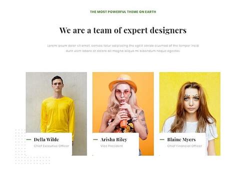 My personal obsession: 28 Best About Us & About Me Page Examples (+10 Templates)