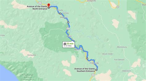 Avenue of the Giants (Helpful Guide + Video) – Redwood National Park