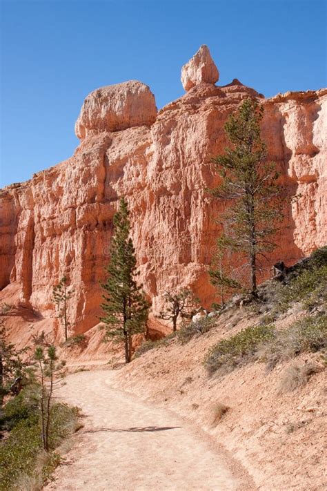 Fairyland Loop Trail in Bryce Canyon Stock Photo - Image of unique, rocks: 11420596