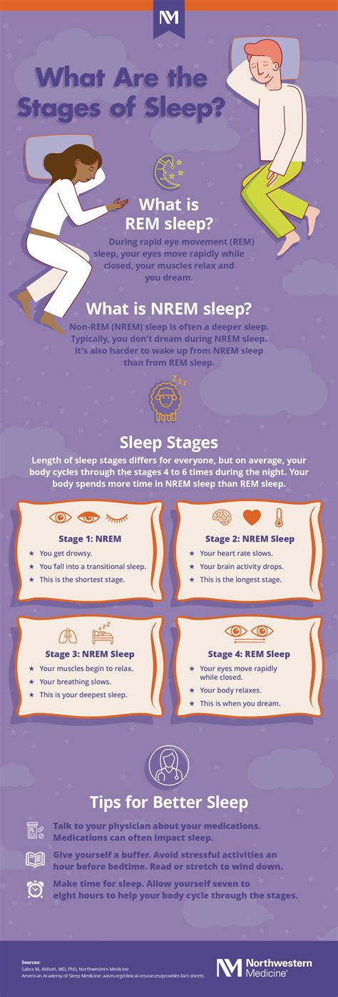 What Are the Stages of Sleep? [Infographic] | Northwestern Medicine