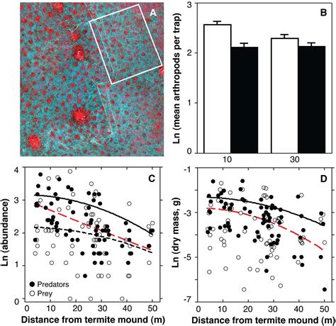 Figure 1 from Spatial Pattern Enhances Ecosystem Functioning in an ...