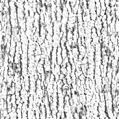 Tree Bark Texture Drawing at GetDrawings | Free download