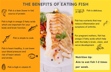 Benefits of Eating Fish Infographic | Patterns of Nutrition