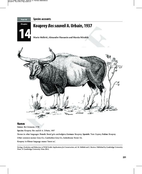 (PDF) Kouprey. In Ecology, Evolution and Behaviour of Wild Cattle | Mario Melletti and Marzia ...