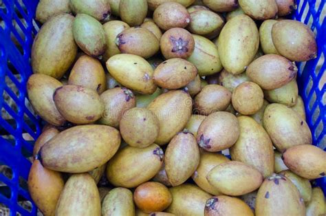 Sapodilla is a Delicious Tropical Fruit. Stock Photo - Image of sweet ...