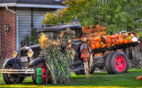 Pumpkin Farm Wallpapers - Top Free Pumpkin Farm Backgrounds ...