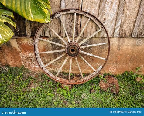 Old wooden ox cart wheel stock image. Image of farm - 146219237