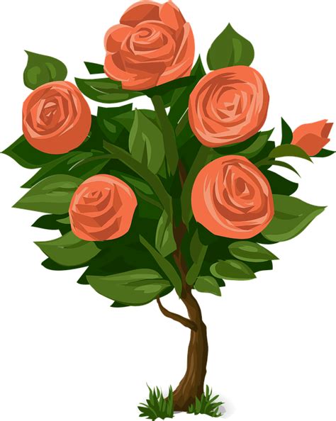 Cartoon Rose Bush : Free Flower Bush Cliparts, Download Free Flower ...