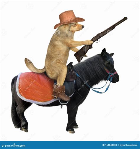 2 Cartoon Dog Cowboy Hat Photos - Free & Royalty-Free Stock Photos from ...