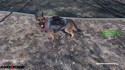 Fallout 3 Dogmeat Location - clearesta