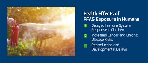 The Effects of PFAS on Human Health