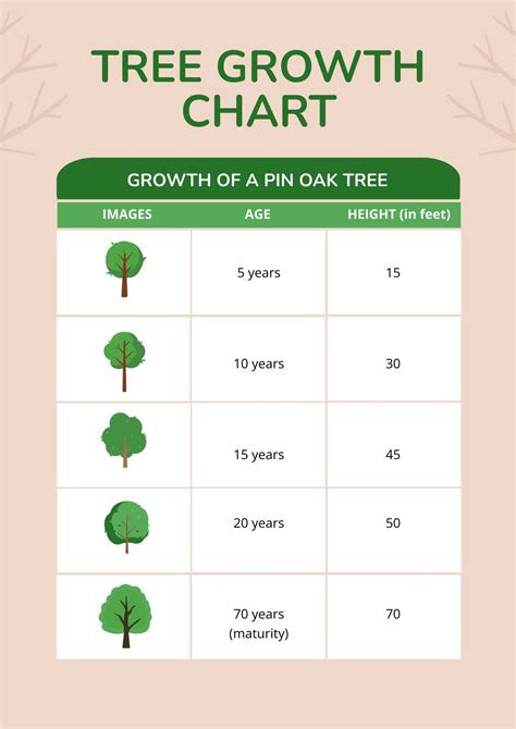 Growth Chart Ruler in PDF, Illustrator - Download | Template.net