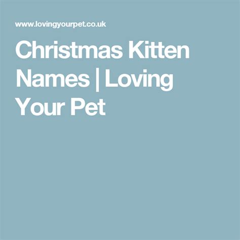 Christmas Kitten Names | Loving Your Pet | Kitten names, Love your pet, Christmas kitten