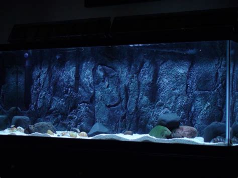 3D Aquarium Backgrounds Free Download