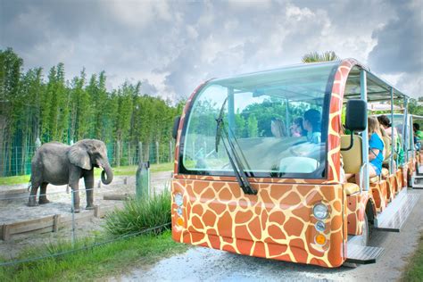 Explore The Zoo - ZooTampa at Lowry Park