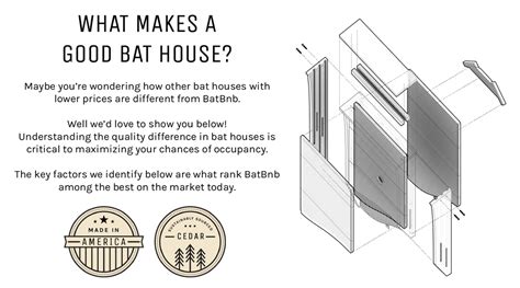 What Makes a Good Bat House? | BatBnB