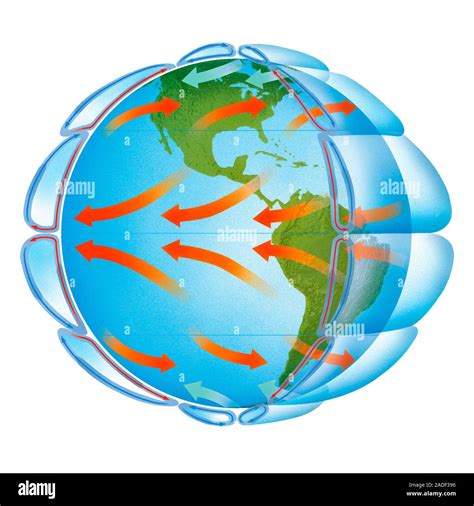 Global air circulation. Artwork of the Earth illustrating the three cell model of global air ...