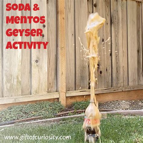 Soda and Mentos Geyser Activity - Gift of Curiosity