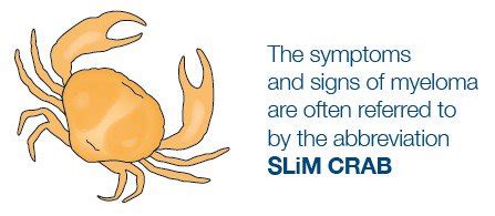 What Are the Types and Effects of Myeloma? - The Waiting Room