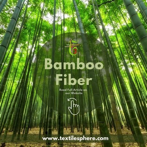 Bamboo Fiber || Properties || Processing || Applications