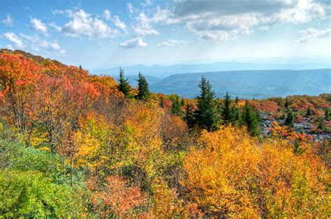 Monongahela National Forest Fire | Vivid autumn colors at Be… | Flickr