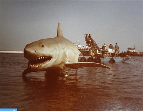 Nearly 200 Never Before Seen 'Jaws 2' Behind the Scenes Photos Just Surfaced! - Bloody Disgusting