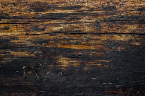 Charred Wood Stock Photos, Images and Backgrounds for Free Download