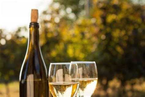 12 Best Australian White Wines | Man of Many