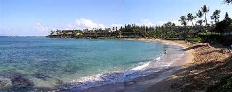 Maui: Napili Bay - Tripadvisor