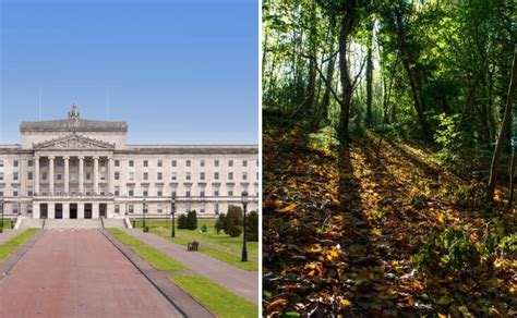 Stormont Park: Walks, Parking + History (2024 Guide)