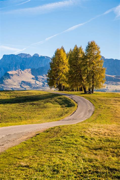 Long, Easy Hike! Explore Europe’s Largest Alpine Meadow on a memorable Photo Hike | Mountain Moments