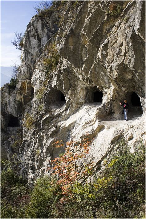 Caves in the hillside - Plant & Nature Photos - Aaron Schmidt Photography