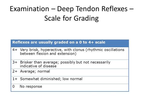 Deep Tendon Reflex Scale