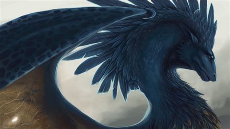 Majestic Dragon - Dragons Wallpaper (39057394) - Fanpop