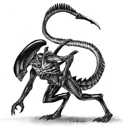 Xenomorph by Glaiceana on DeviantArt | Predator alien art, Xenomorph ...