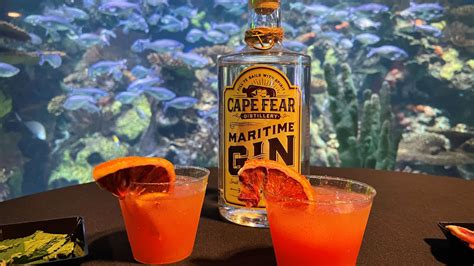 Ripley's Aquarium in Myrtle Beach hosting 'Fin & Tonic' Cocktail Class