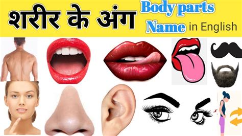 Human Body Parts Name Hindi & English with photos | शरीर के अंग | name ...