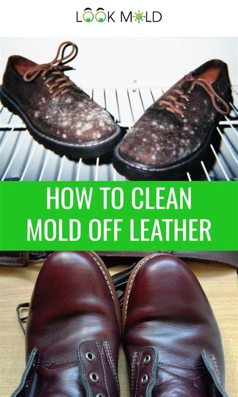 How To Clean Mold Off Leather In Four Easy Steps | How to clean mold, Cleaning leather shoes ...