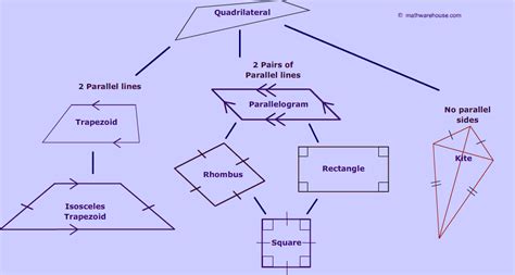 Quadrilaterals Chart