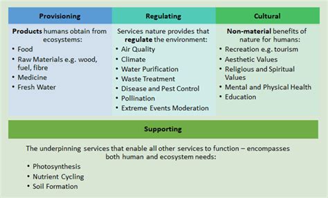 Ecosystem Services: the fundamentals | Green Element Blog