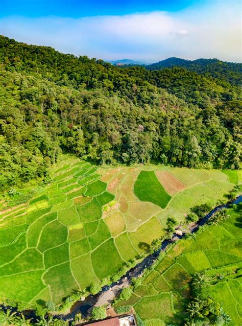 Aerial View of Grass Field · Free Stock Photo