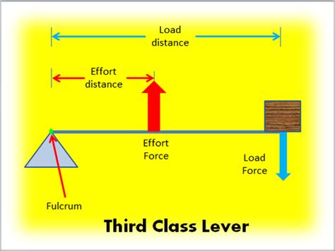 Effort Arm Image collections - Diagram Writing Sample IDeas And Guide