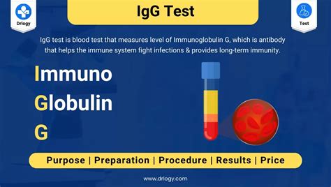 Immunoglobulin G (IgG Test) Results Interpretation Range - Drlogy