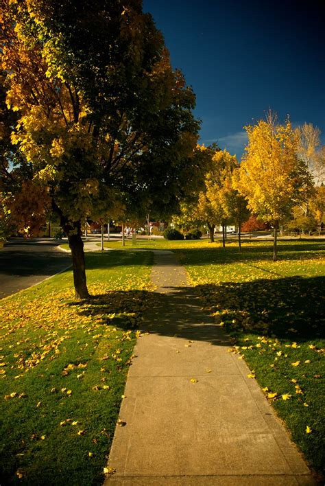 Path for Fall | Fall in Bend, Oregon | Benjamin Kinzer | Flickr